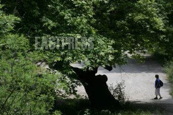 EA189921, Eastpress, Nidri, Greece